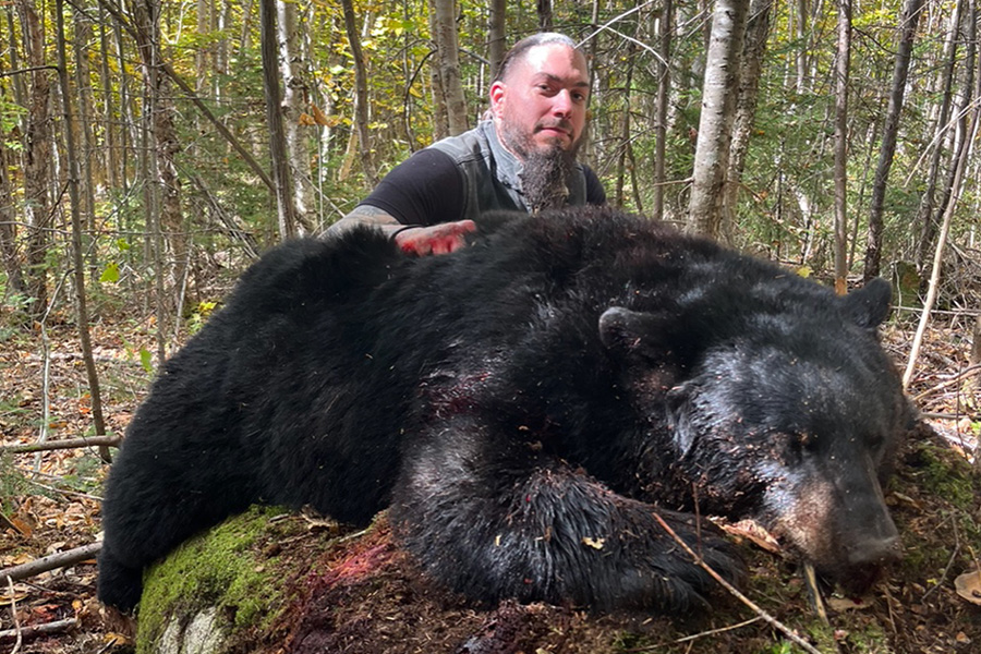 Northern Bear Hunts