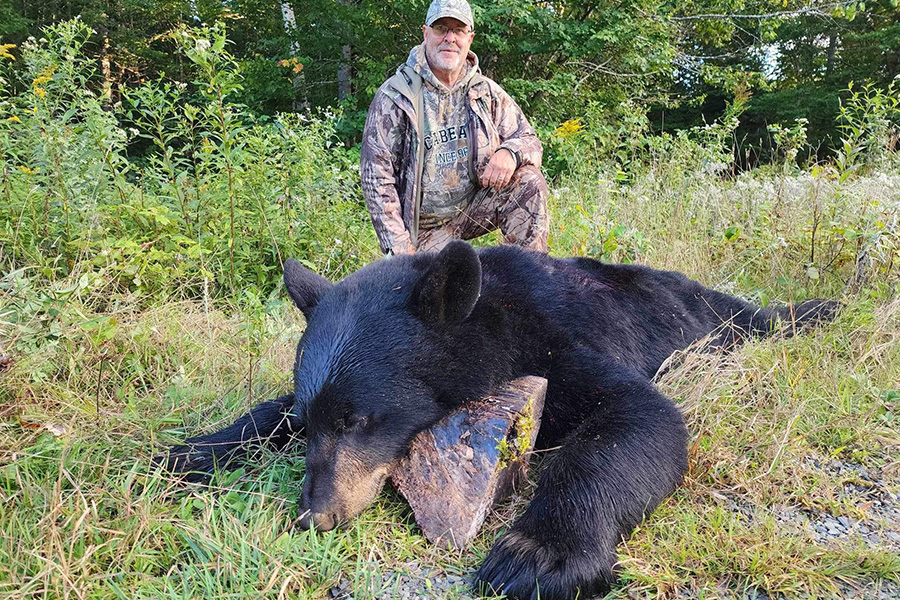 Trophy Black Bear Hunting in Maine