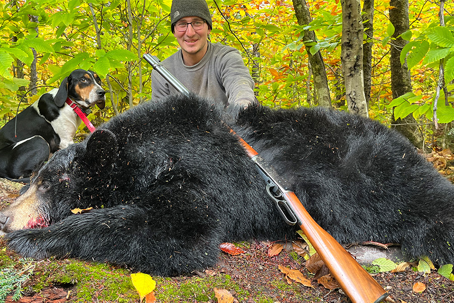 Guided Bear Hunts with Dogs