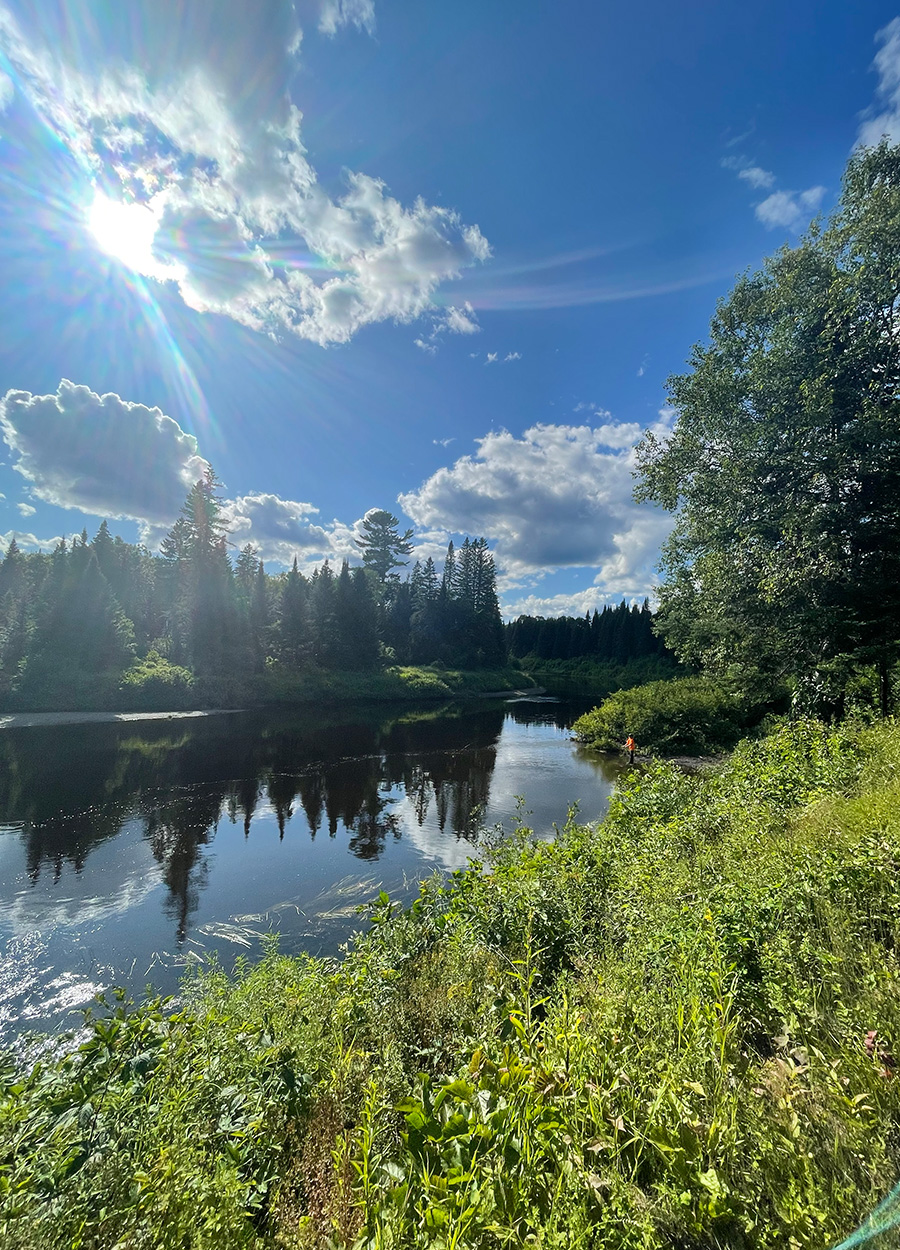 Fishing Salmon Pool Camps