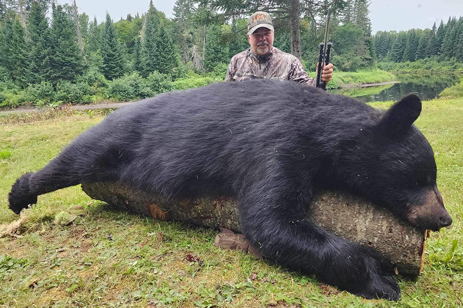 Trophy Bear Hunts Maine